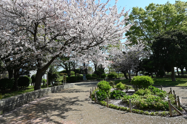 野毛山公園【横浜市】